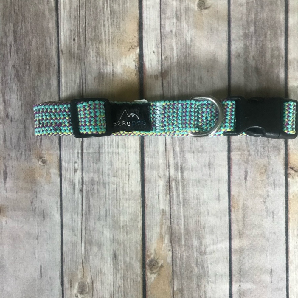 Dog collar 🐶